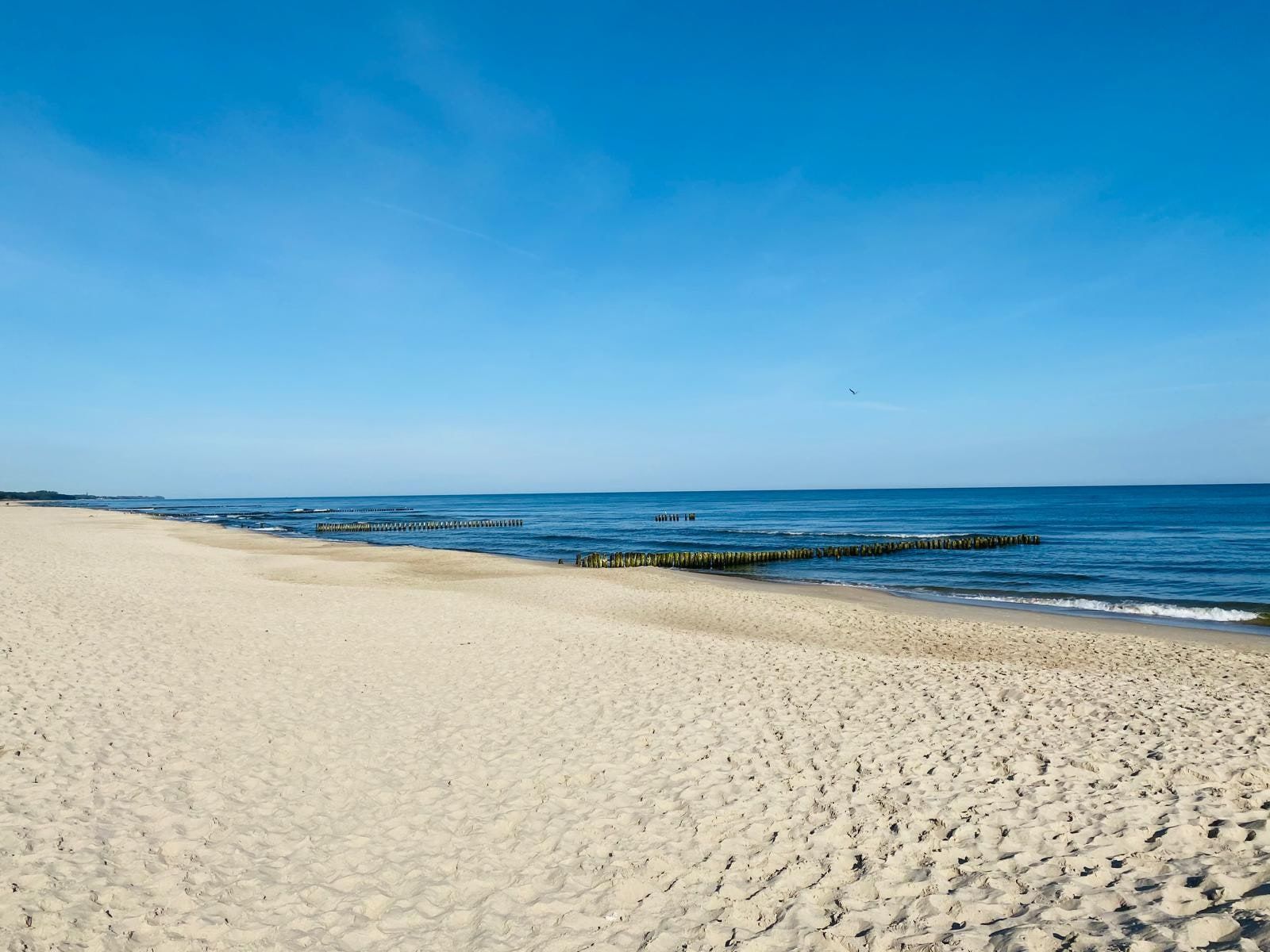 Szeroka piaszczysta plaża w Mielenku z drewnianymi falochronami